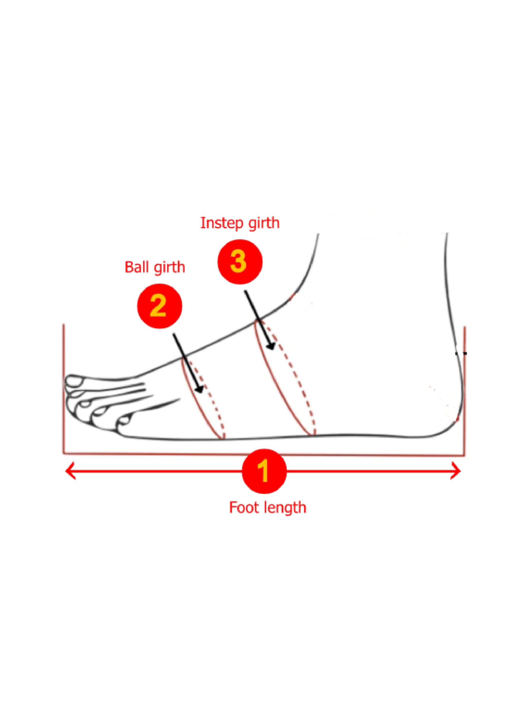 Foot Measurement Diagram